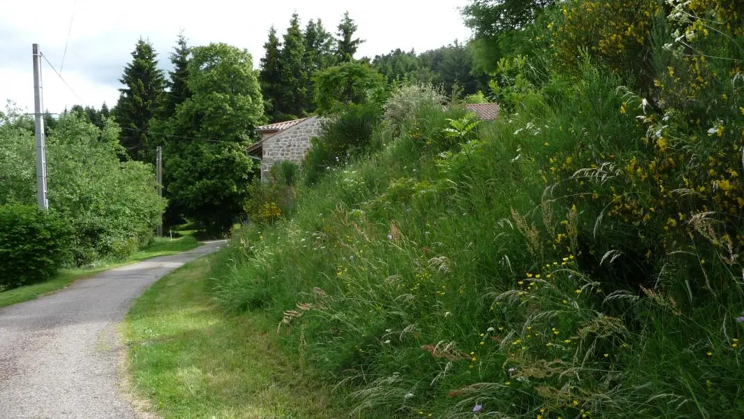 en arrivant au gîte