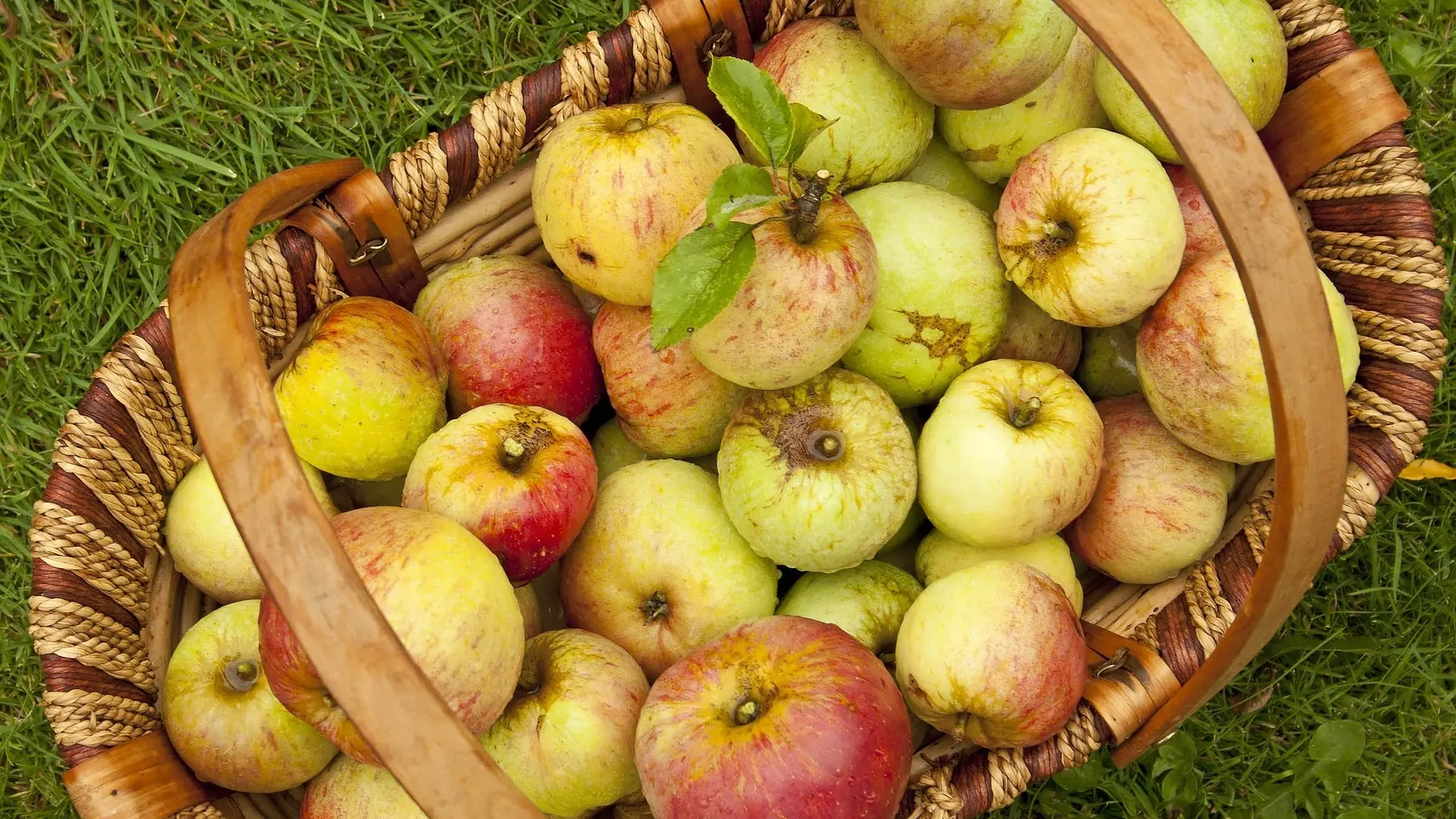 Terres des Nus - Bruno Debon_Châteaudouble