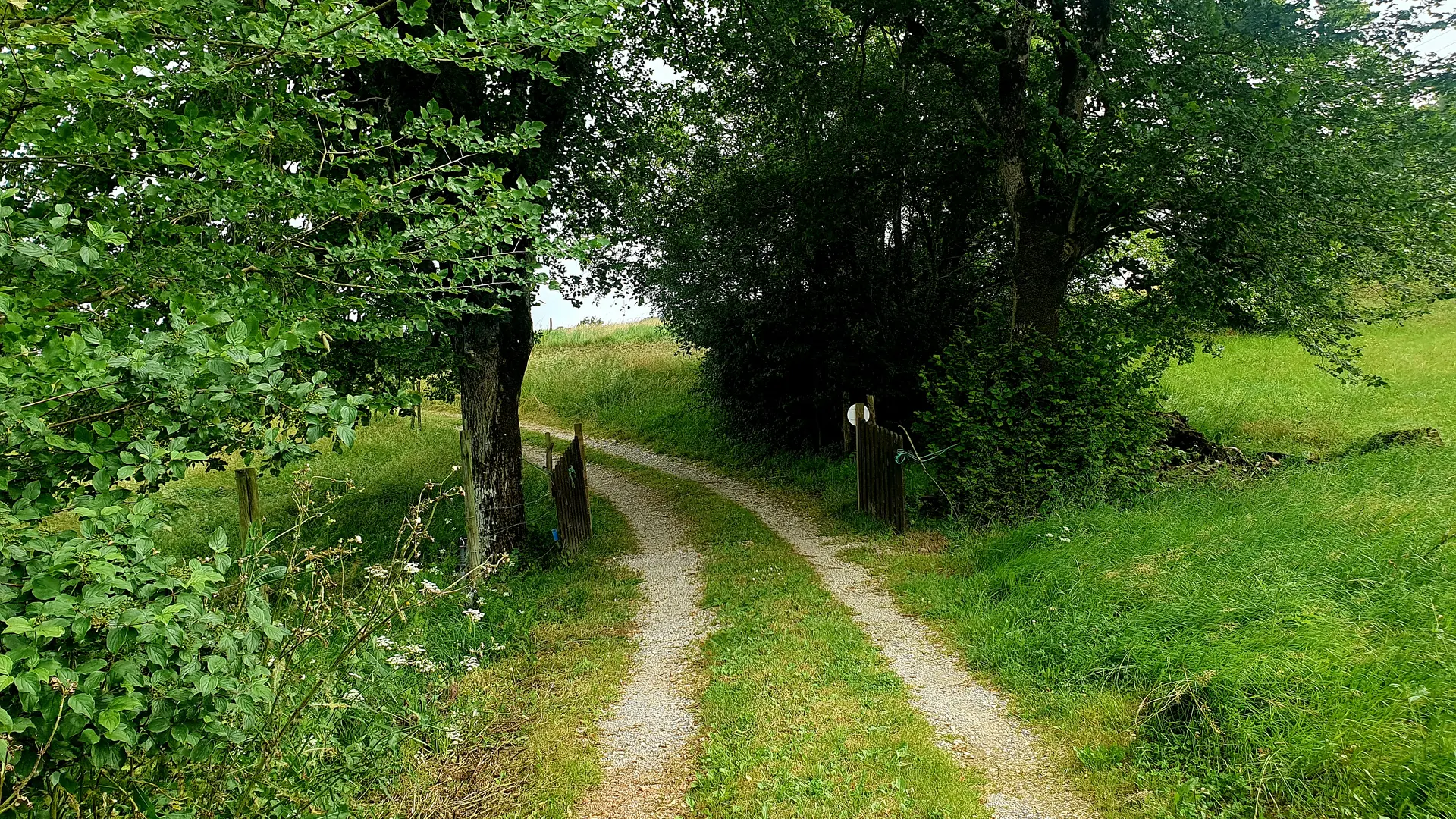 chemin