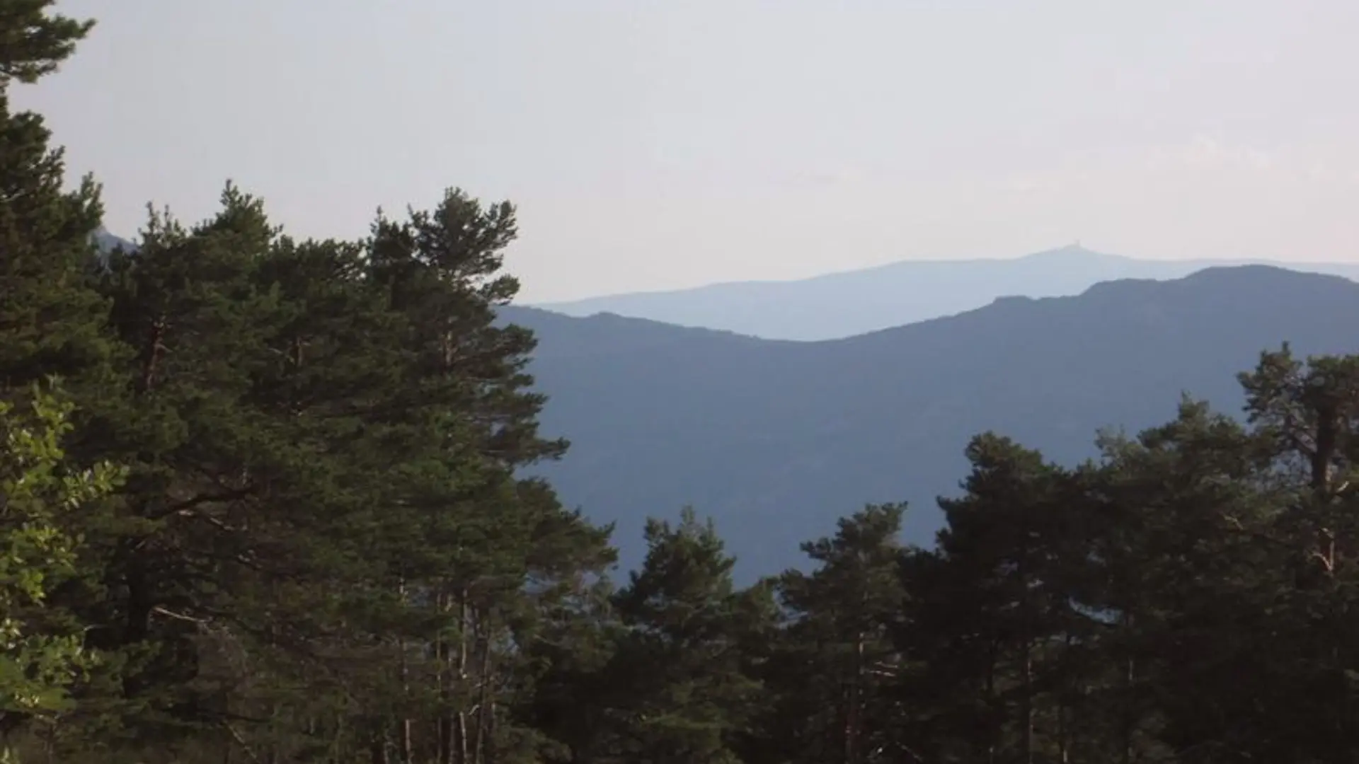 Panorama sur le Mont Ventoux au fond