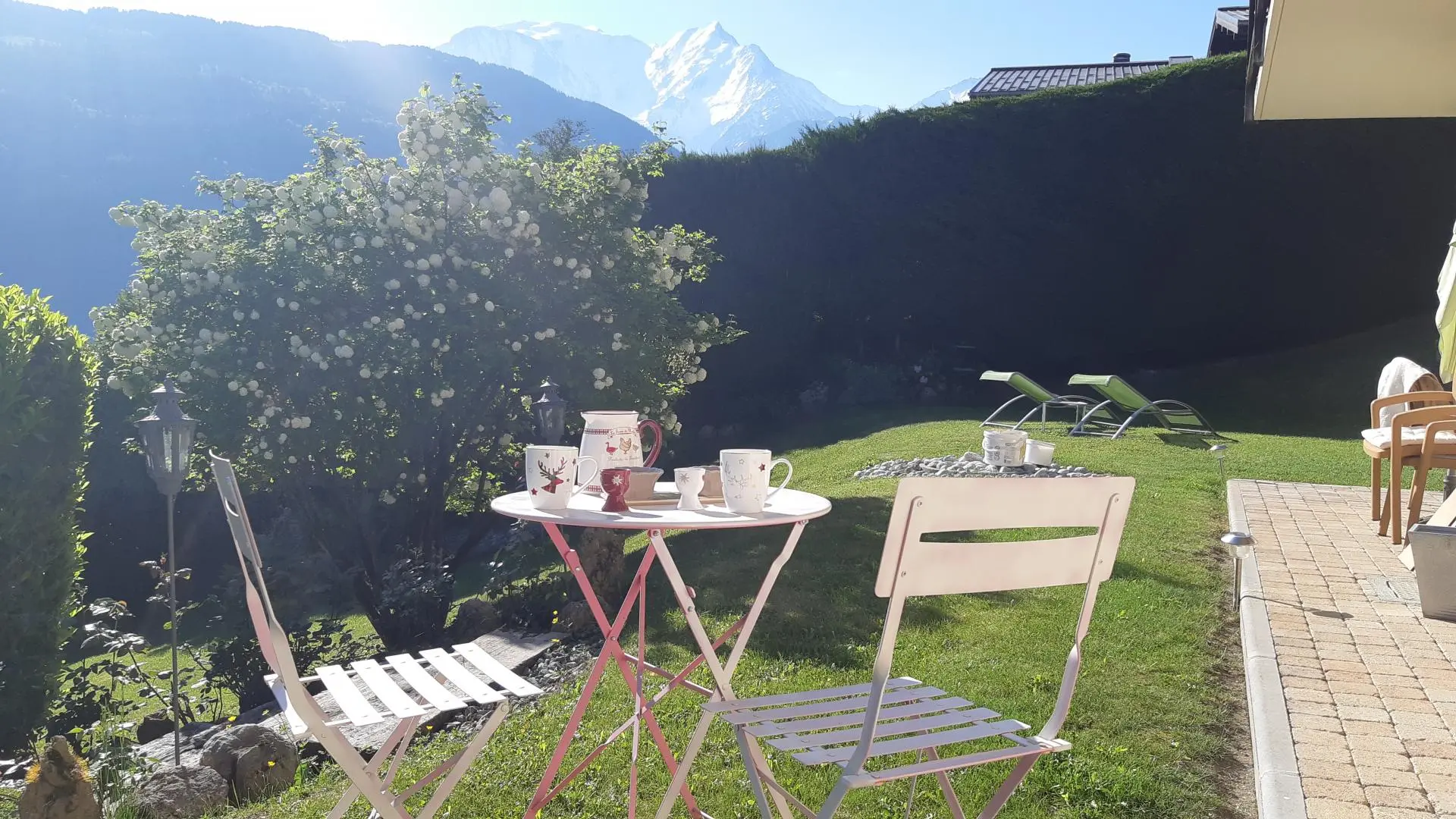 Le jardin
