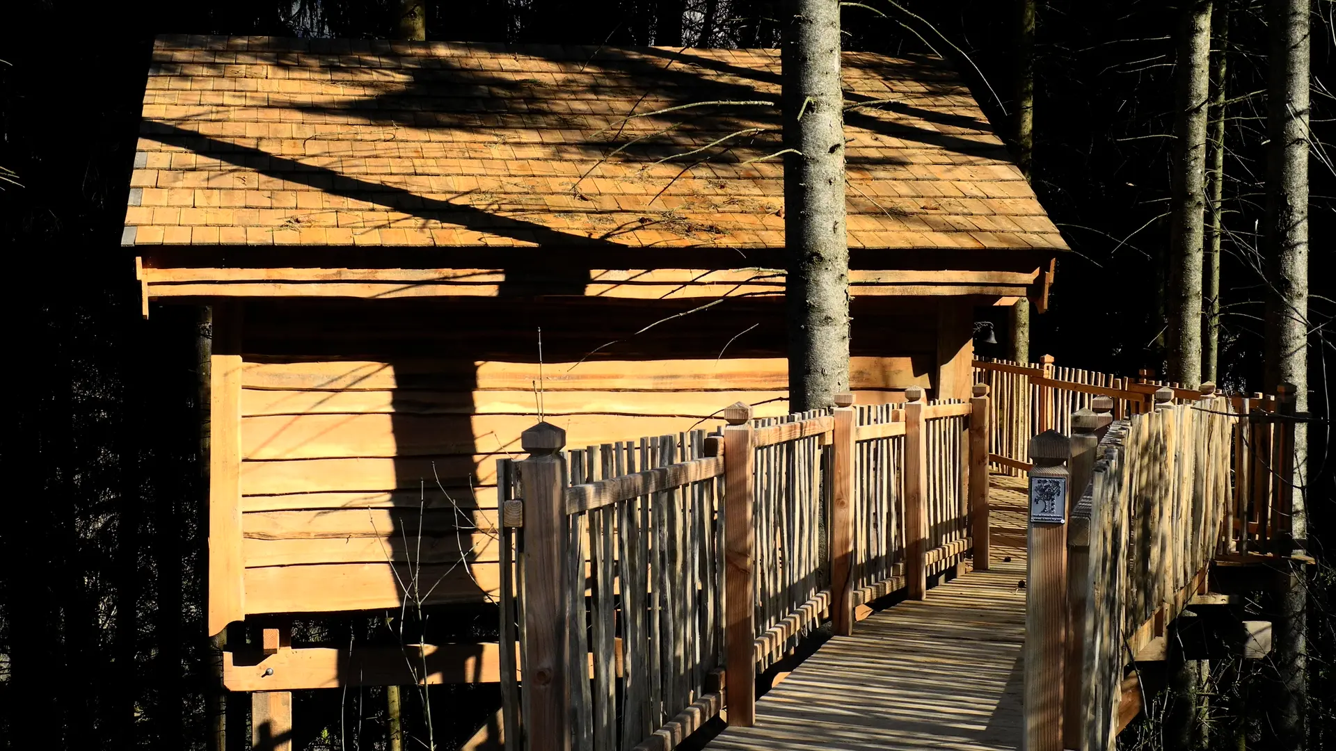 la_cabane_dans_les_arbres