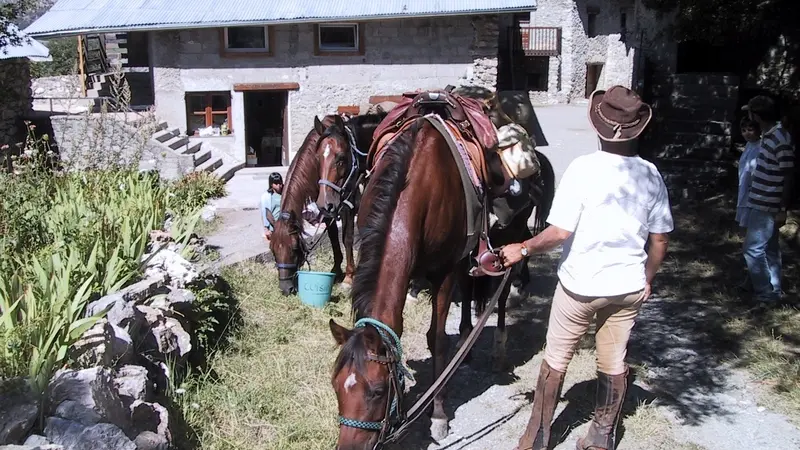 Gîte Ternelia