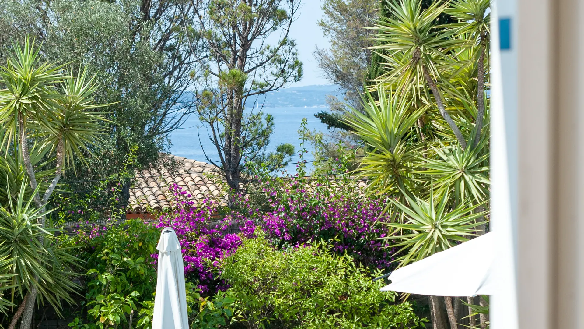 Piscine vue terrasse