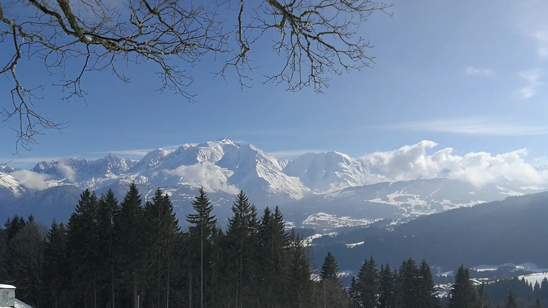 Vue sur la forêt et le Mont-Blanc