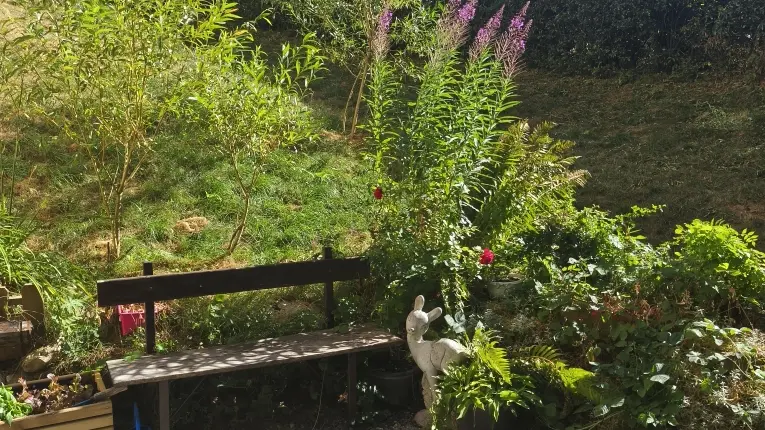 Autre vue sur le jardin fleuri et le banc en bois