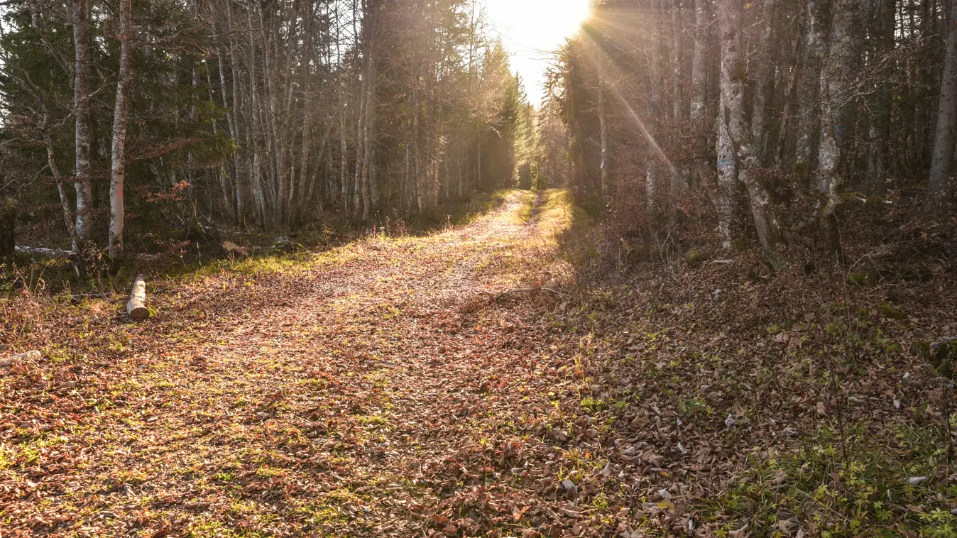 après la montée