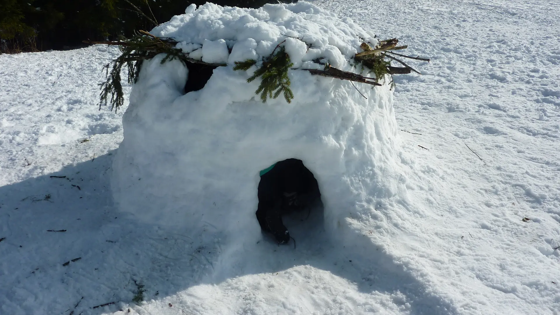 Atelier construction igloo