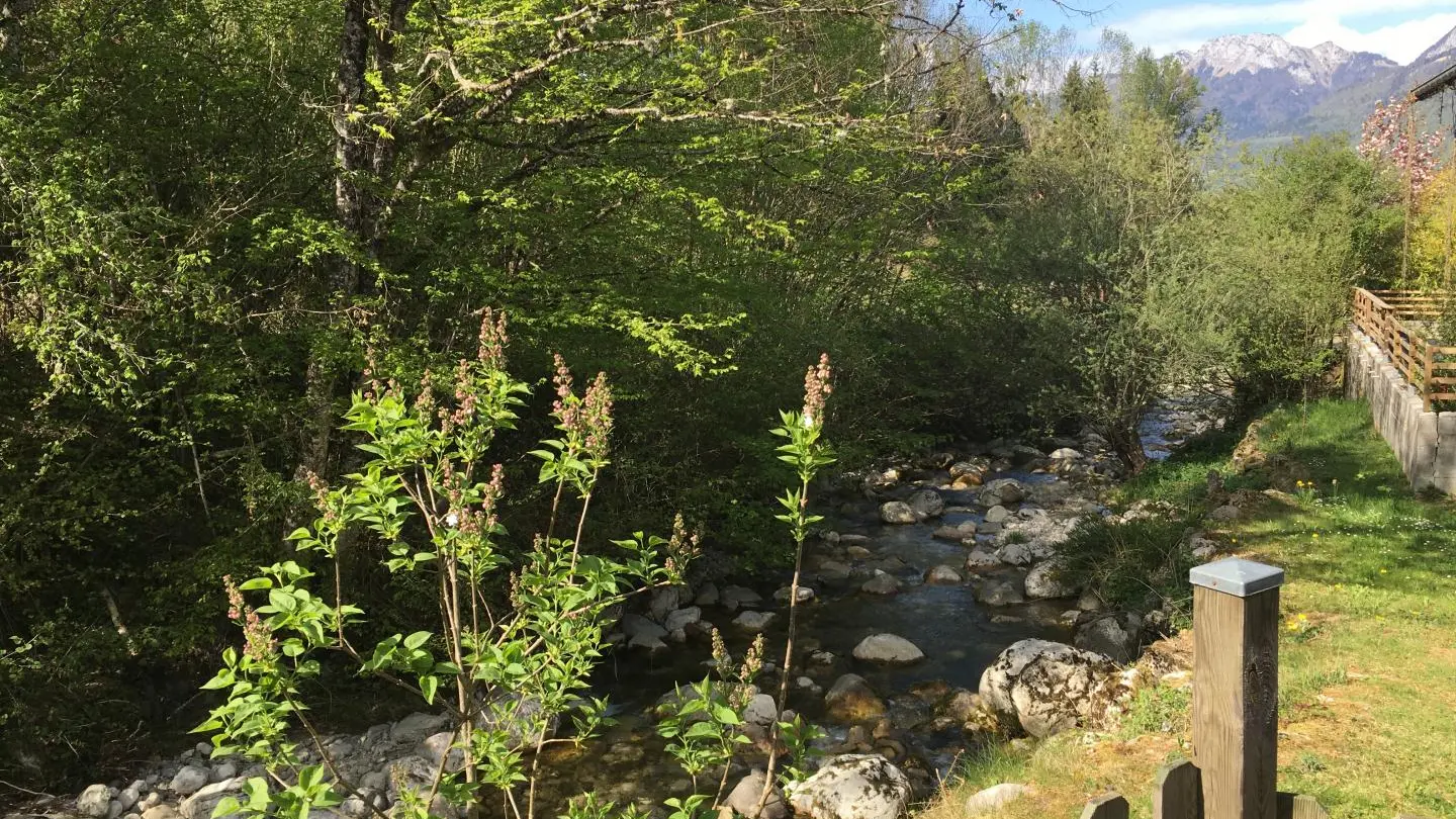 Terrasse ouest, la Bornette