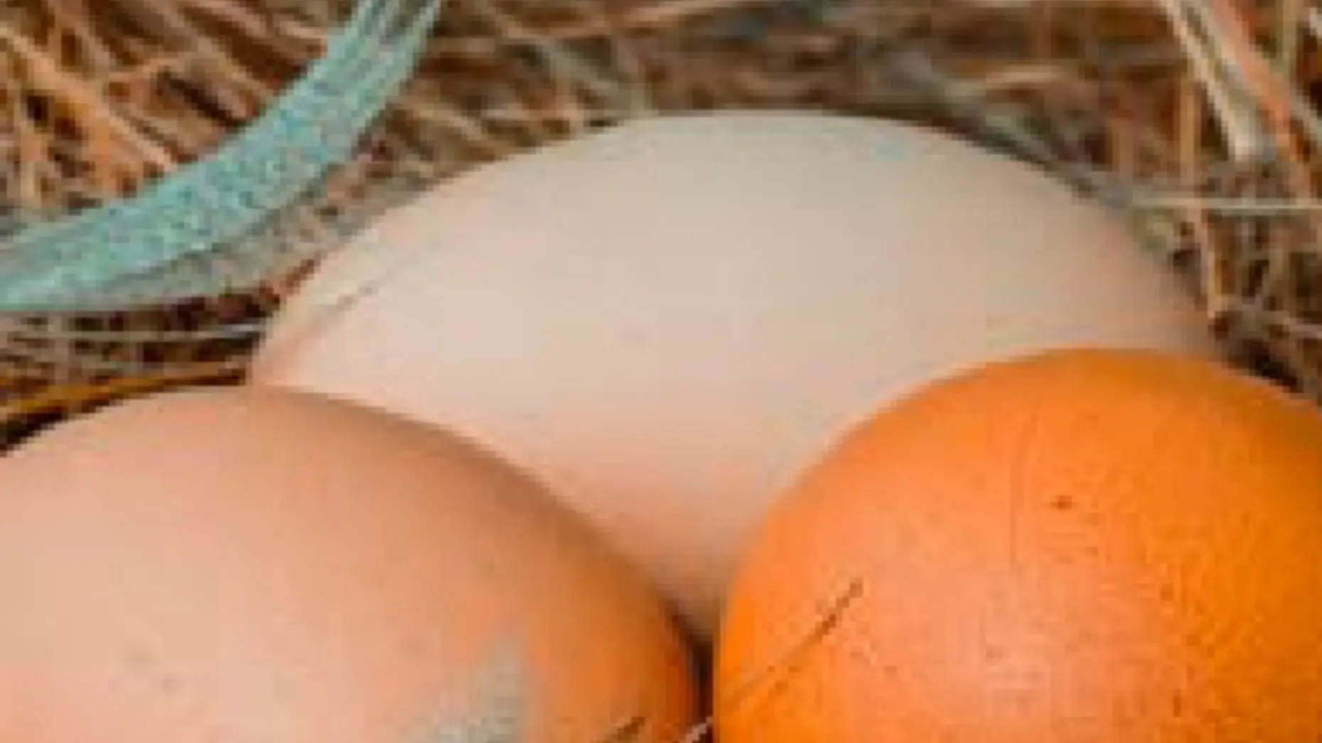 GAEC de l'Empereur, Le Glaizil, vallée du Valgaudemar