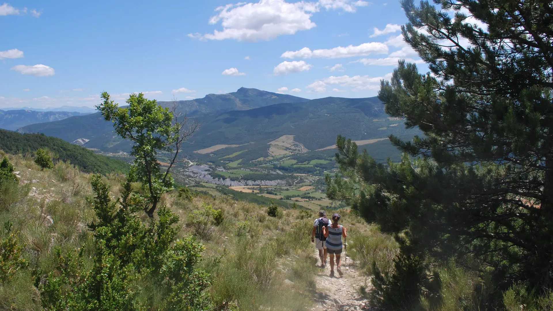 Le Serrois, territoire sauvage