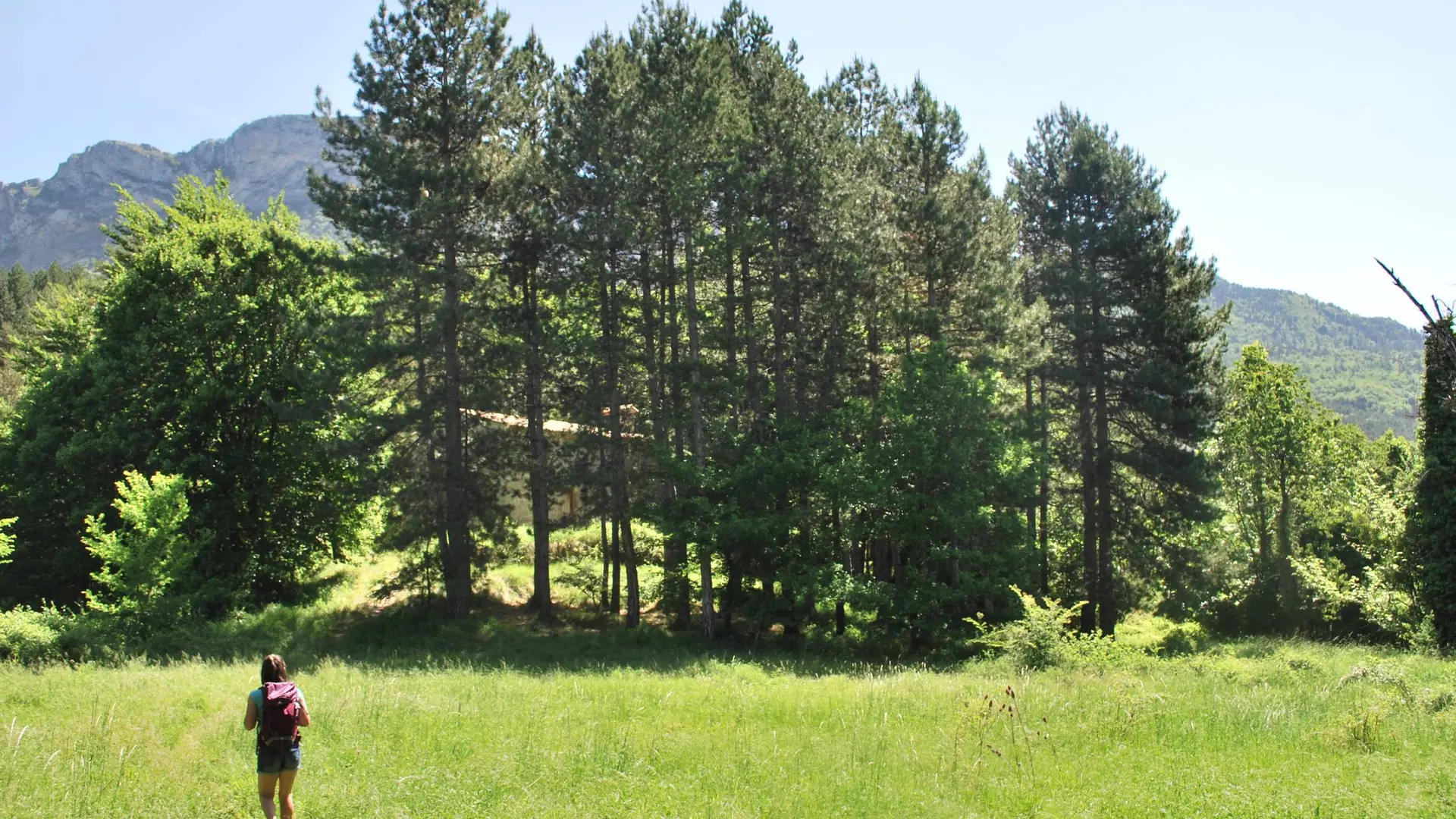 Le sentier traverse de belles prairies