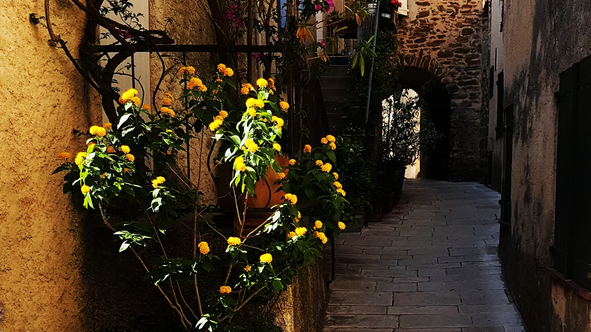 Rue menant à la tour du fort - https://gassin.eu/