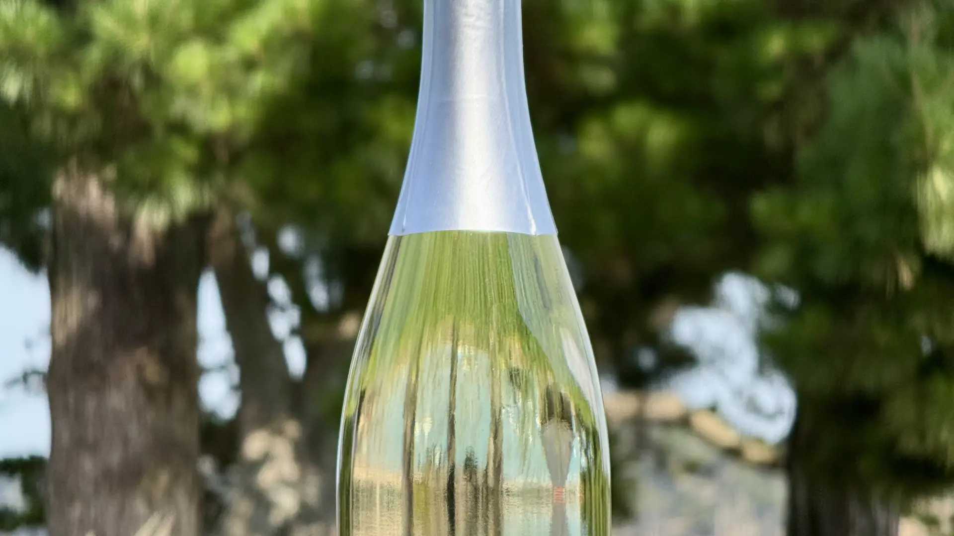 Vin pétillant  du domaine viticole Matteri - Hyères
