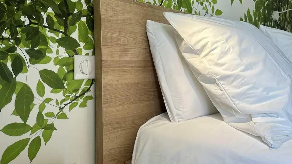 Chambre nature