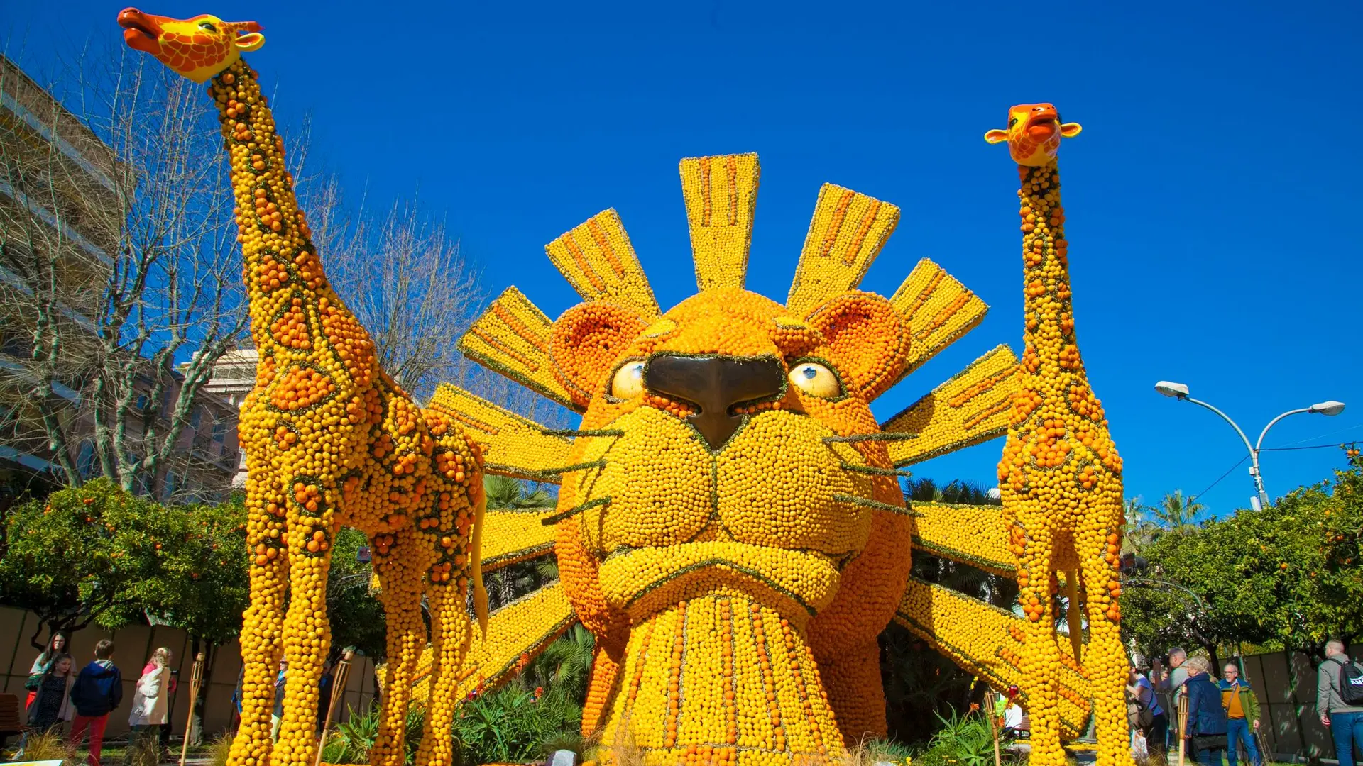 Fêtes des citrons Menton