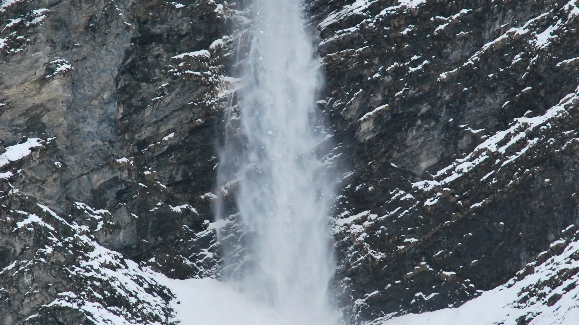 Avalanche Vorassay