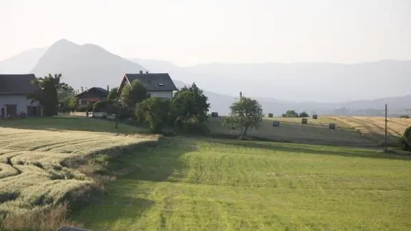 Les champs autour de l'appartement