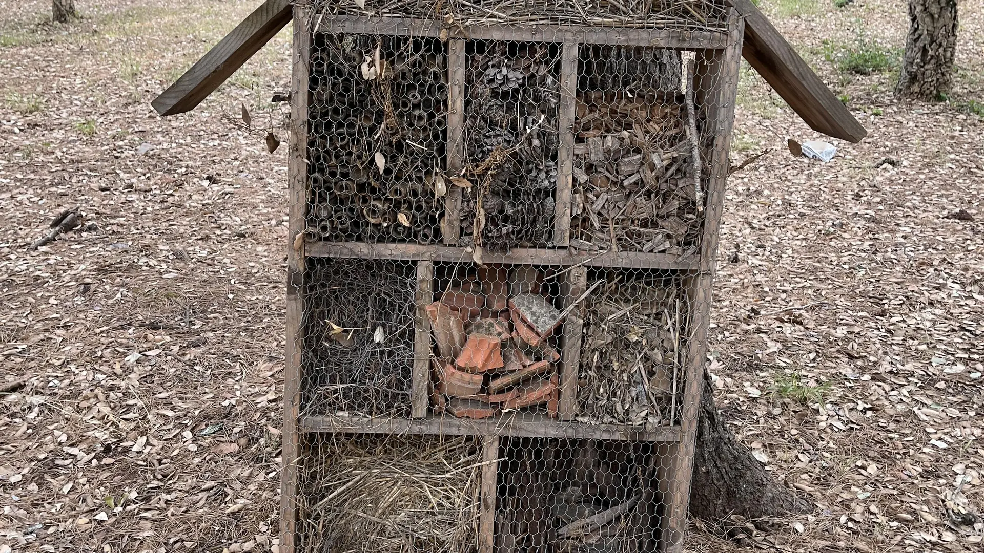 Sentier botanique de l'arboretum de Pierrefeu du Var