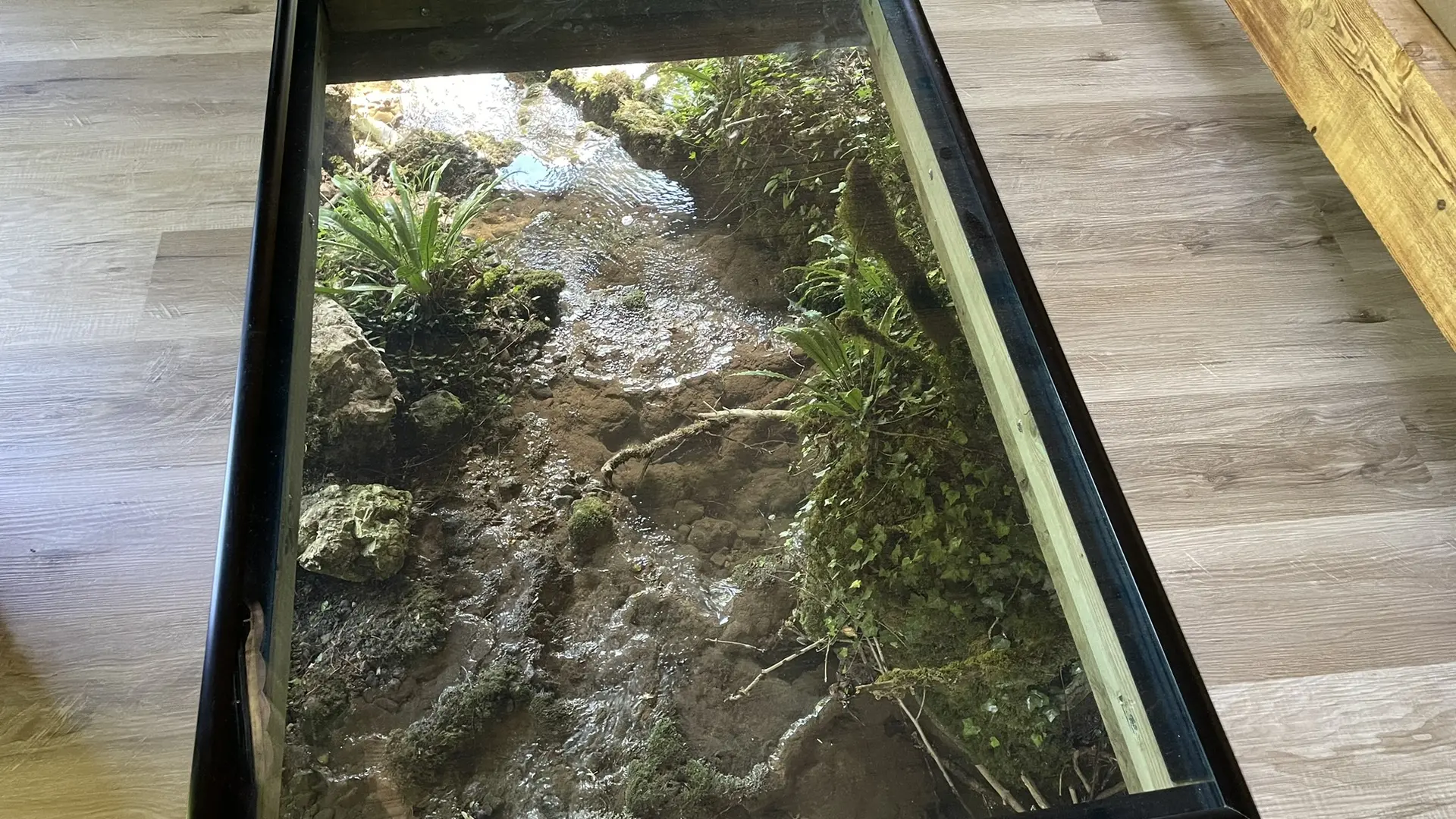 Vitre au sol Lodge du Ruisseau