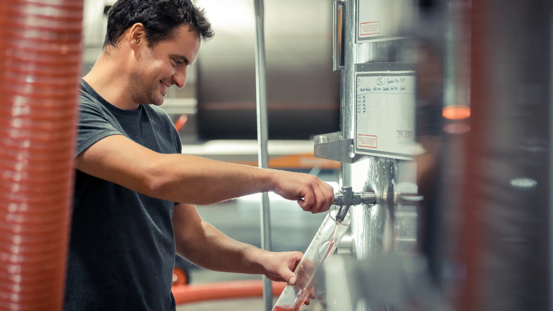 Les vignobles Gueissard