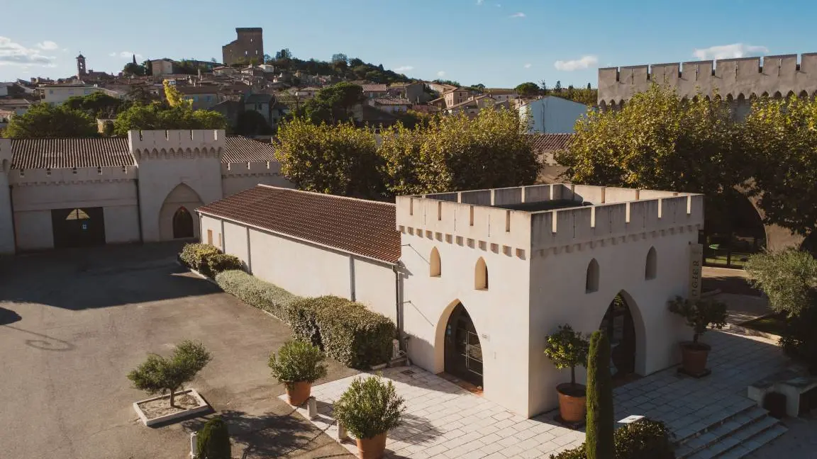 Visite - dégustation à la Maison Ogier_Châteauneuf-du-Pape