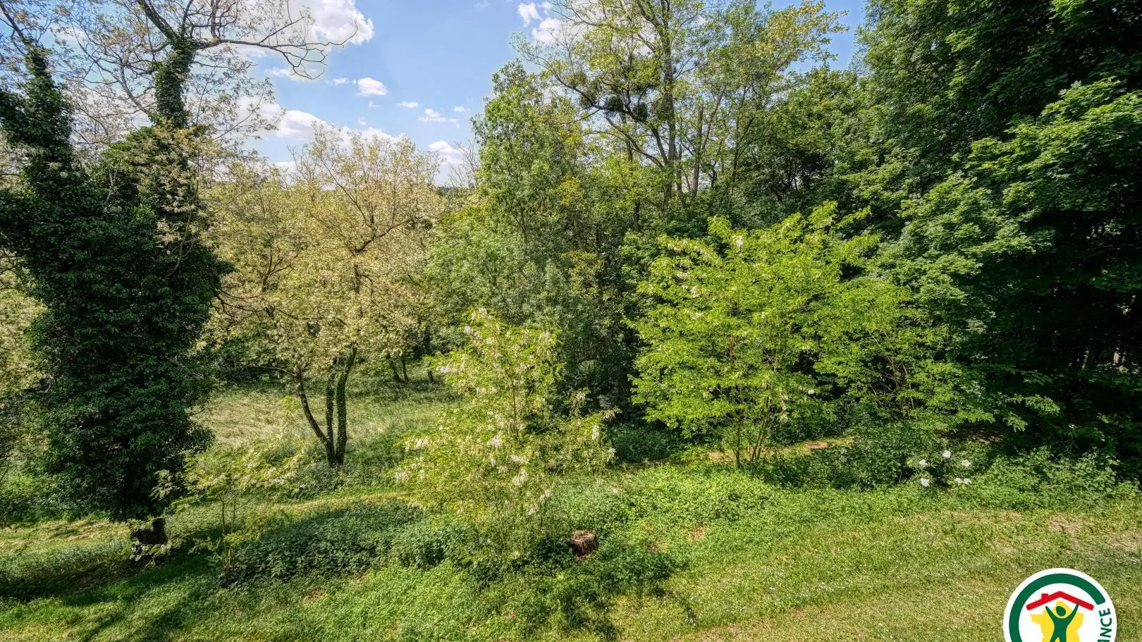 Le jardin