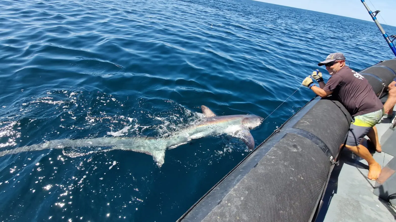 Pêche en mer au gros
