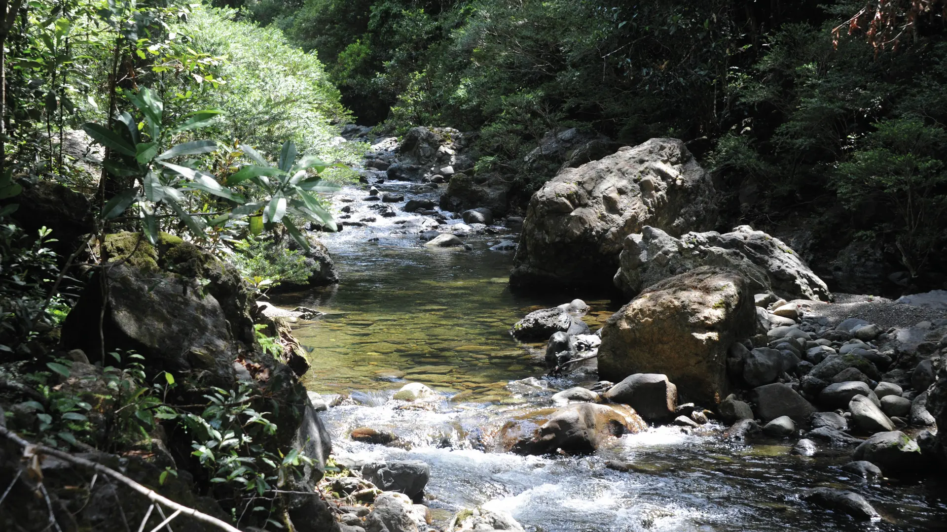 La rivière Oua Nonda