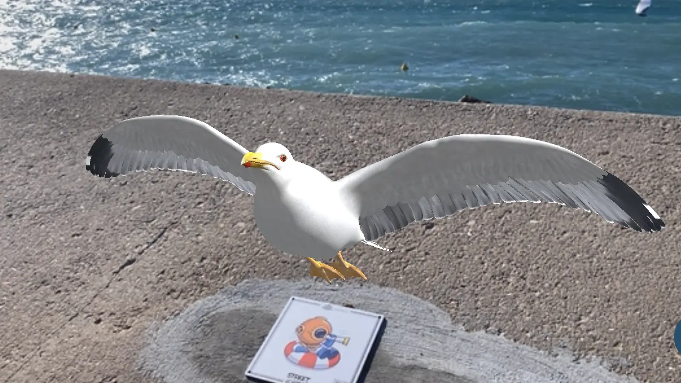 Animal biodiversité du bord de mer