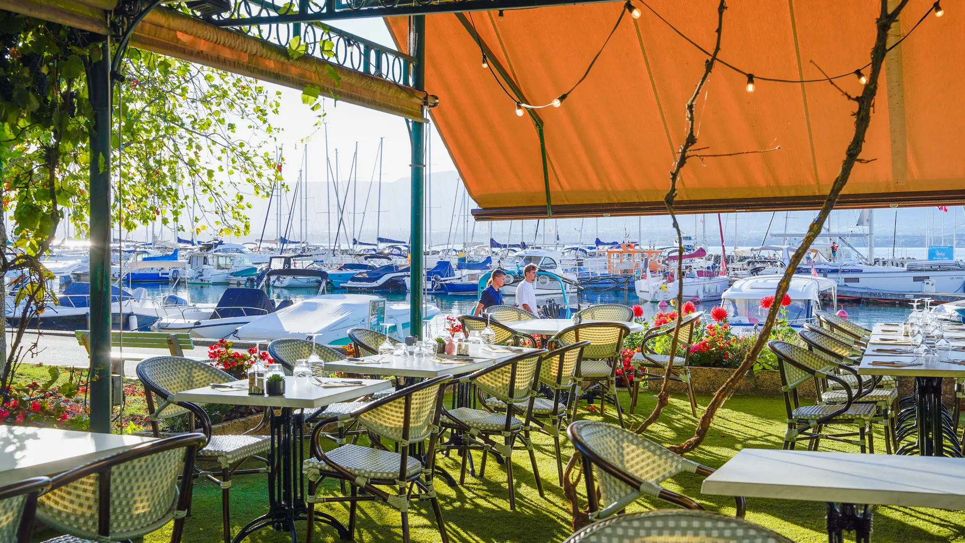Terrasse