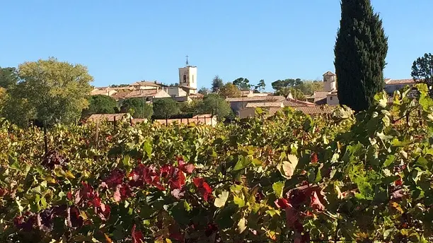 Le village vue des vignes