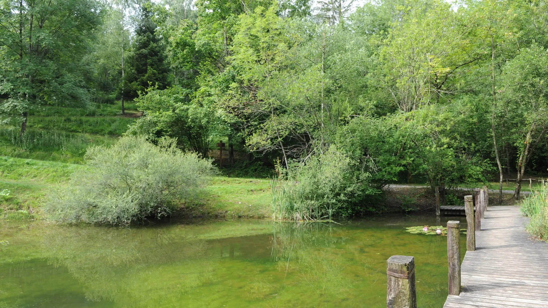 Parc de Neuvecelle