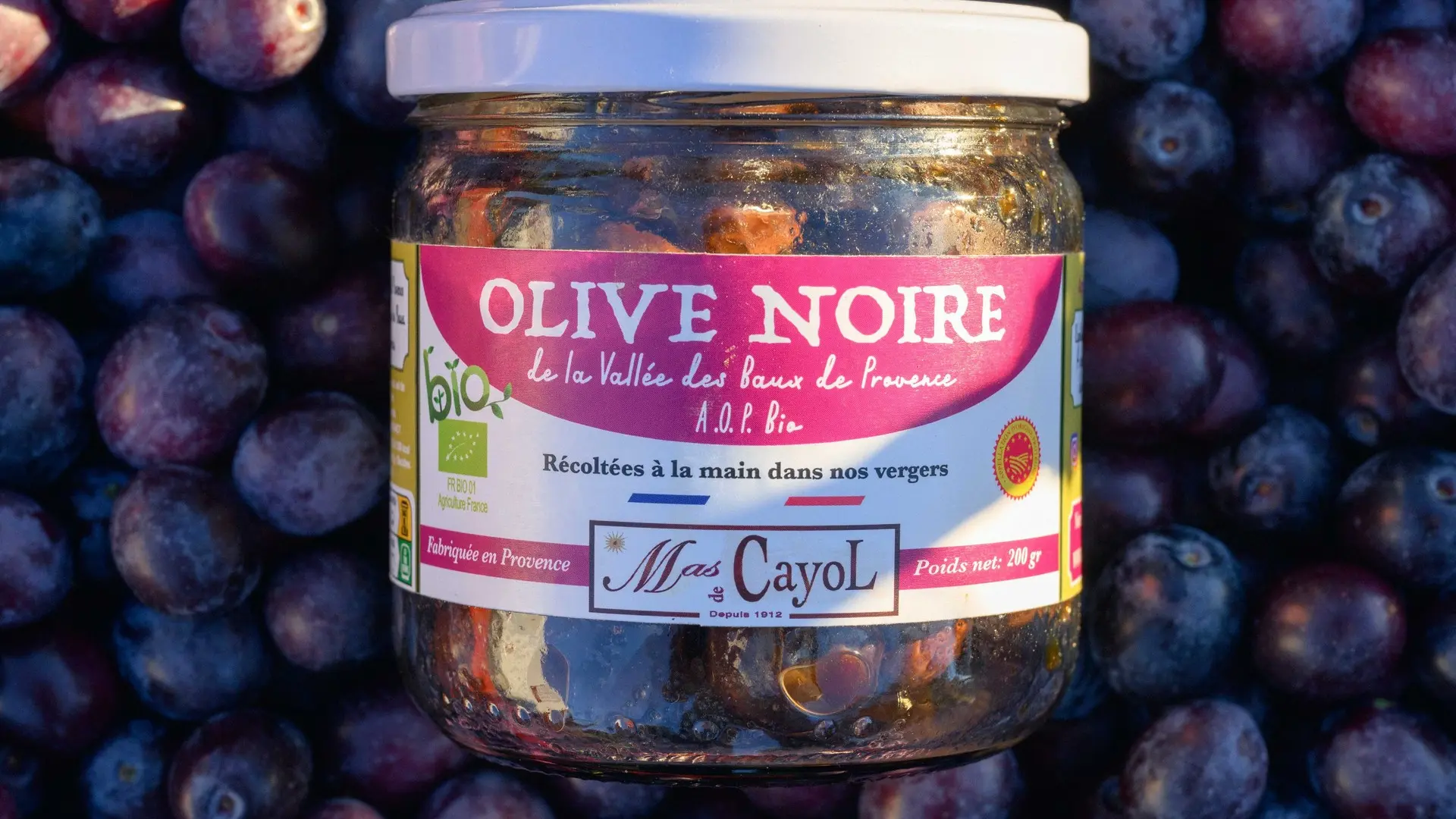 Domaine oléicole Mas de Cayol à Maussane-les-Alpilles