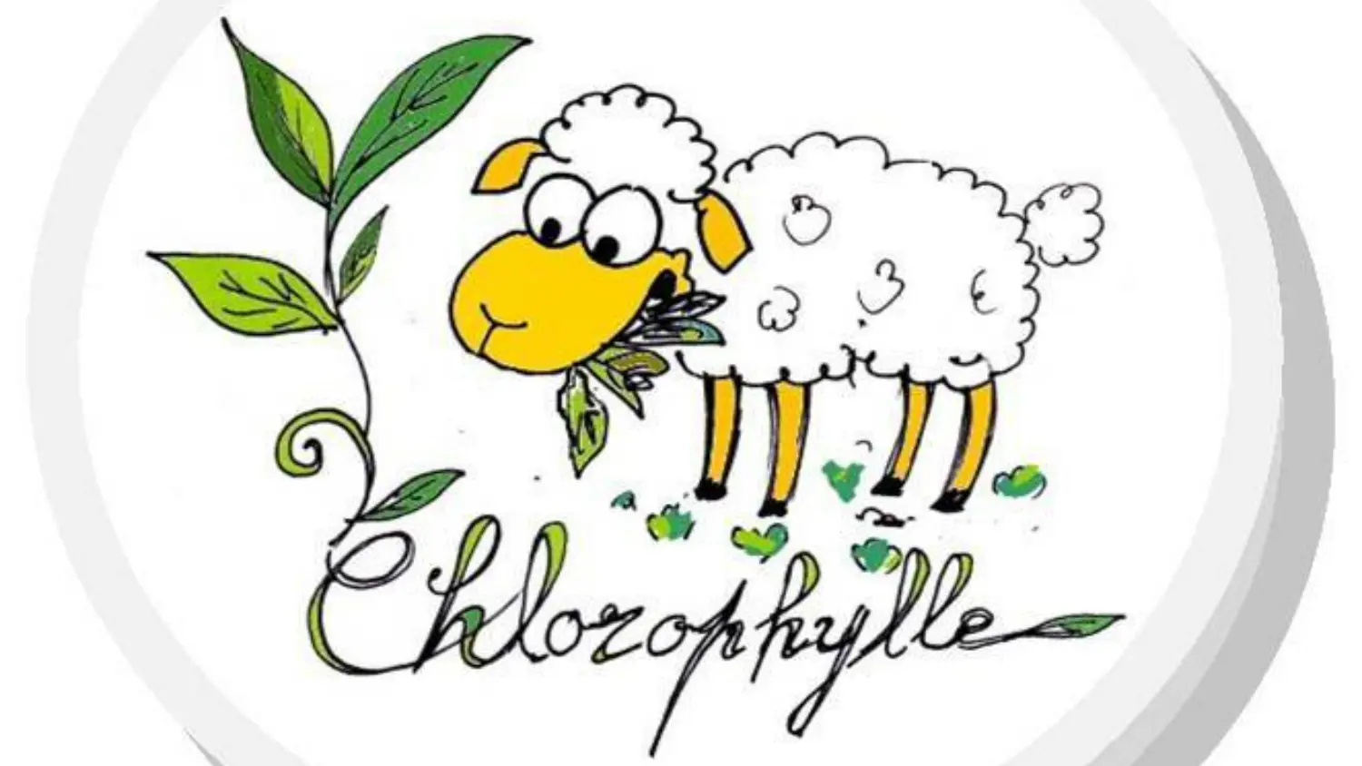 ASSO Chlorophylle