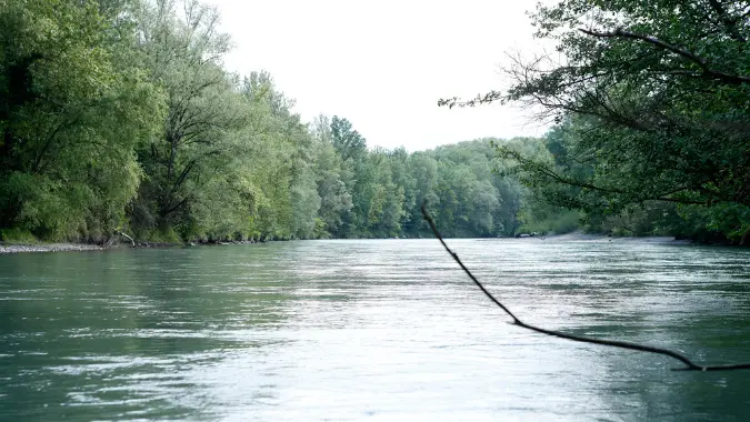 Les bords de l'Arve