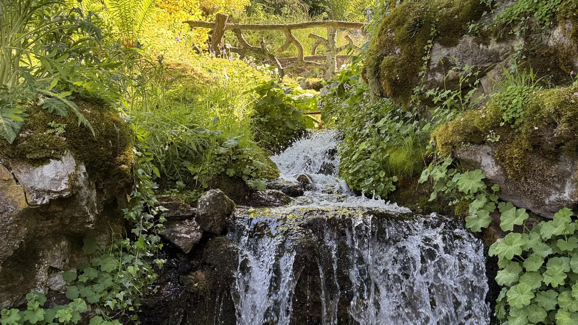 Jardin de la Jaysinia