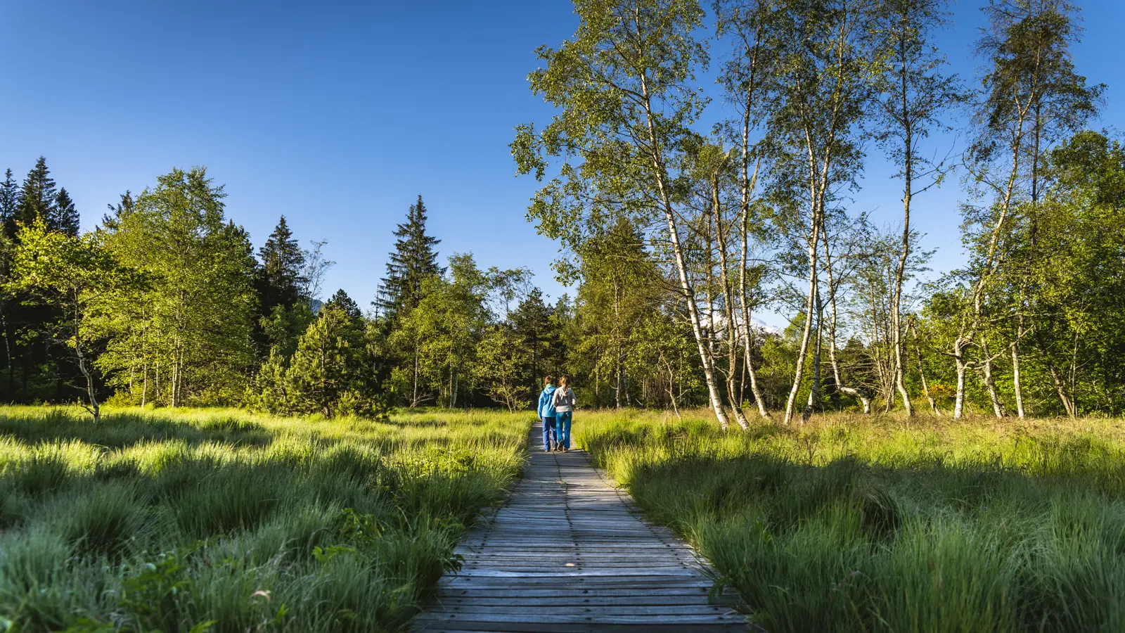 Réserve Naturelle du Luitel