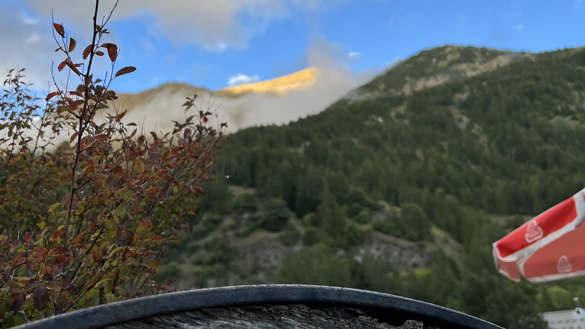 La Cantine des Gourniers REALLON