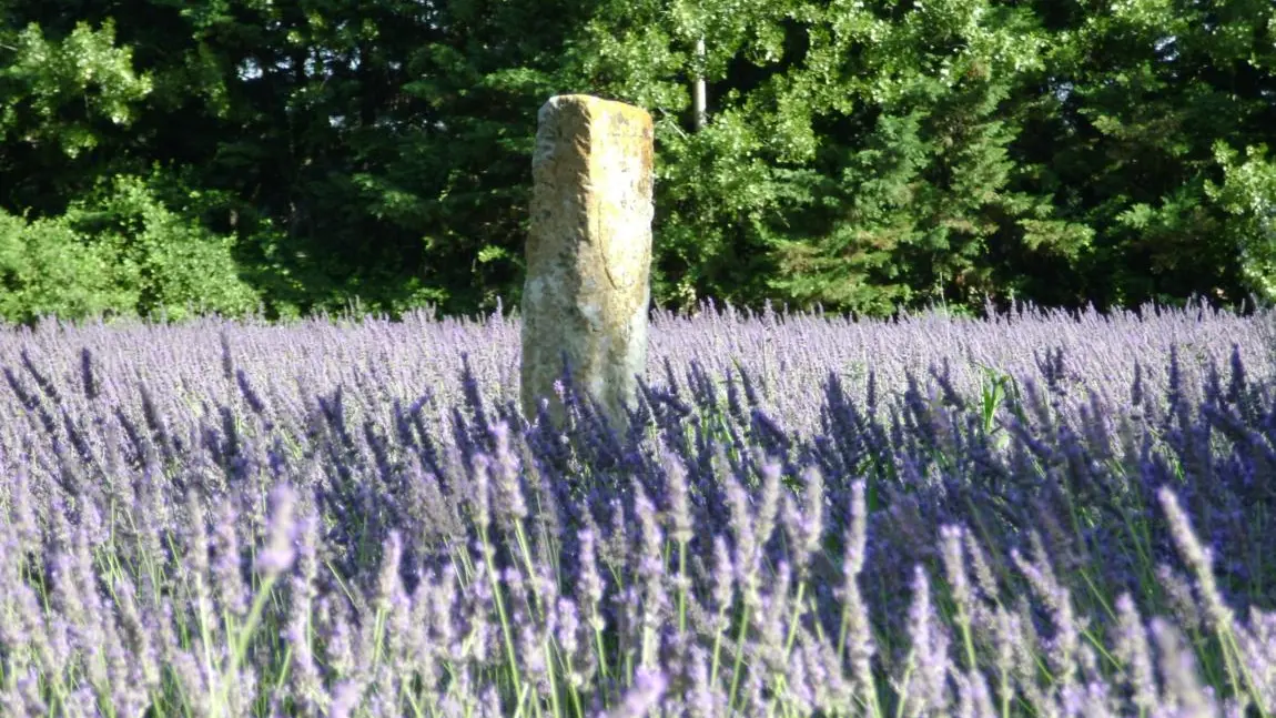 Circuit des bornes papales