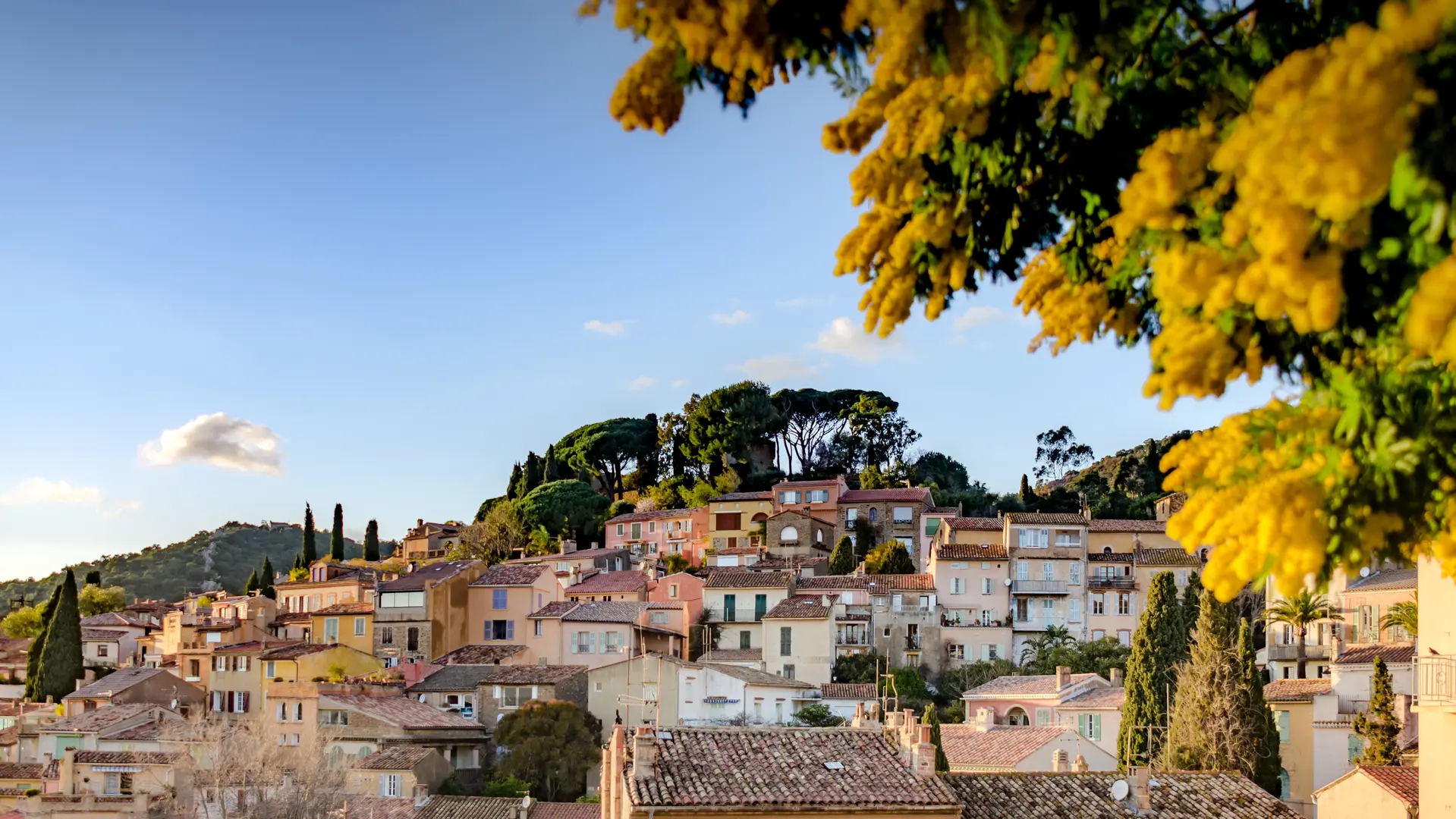 village avec mimosas