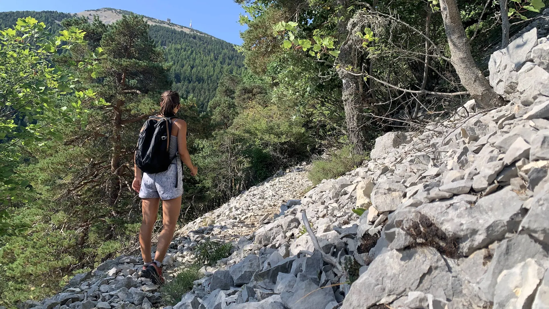 Ascension vers le sommet