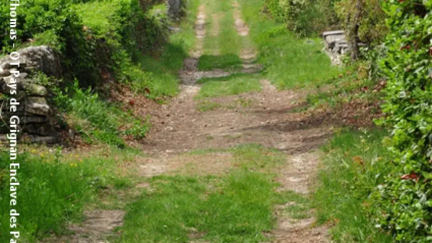 La croisée des chemins