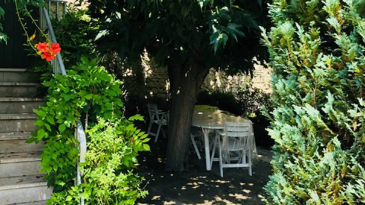 La terrasse ombragée