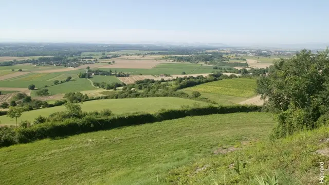 La butte de Montgacon - Les balades de Léa et Tino