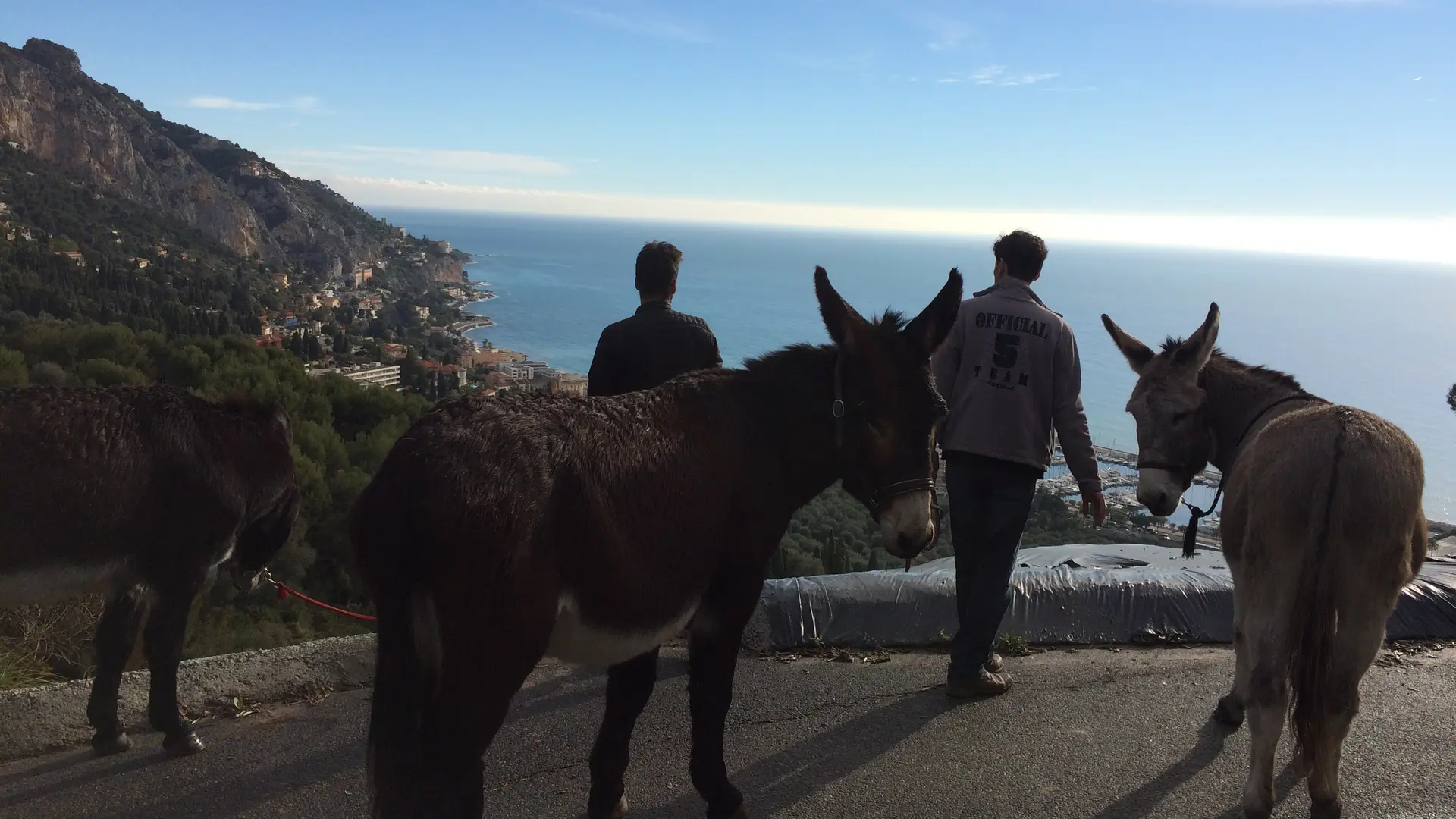 Sur les hauteurs de Menton