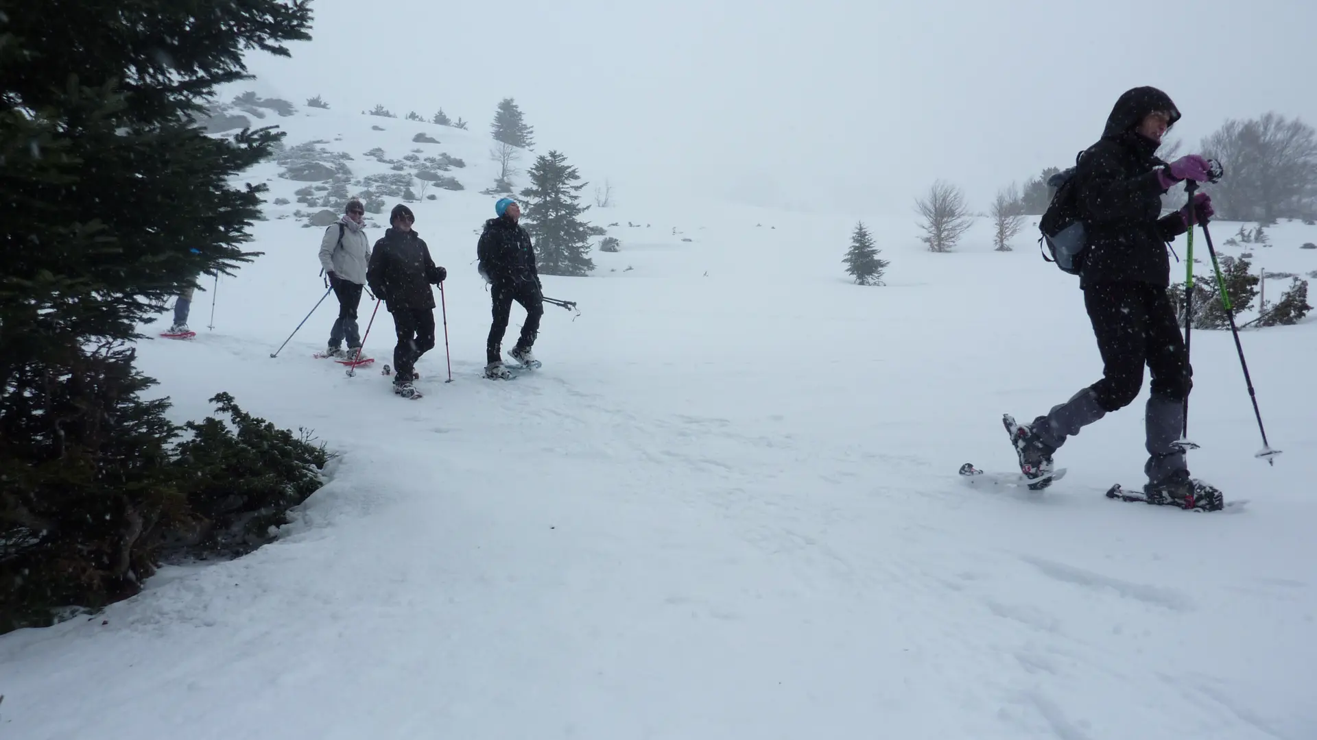 Raquettes à neige