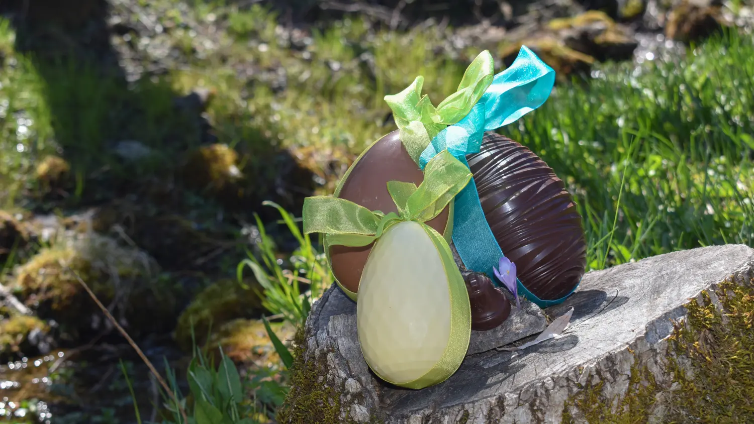 Thierry Siat, compagnon confiseur, chocolatier et pâtissier, à St Firmin en Valgaudemar