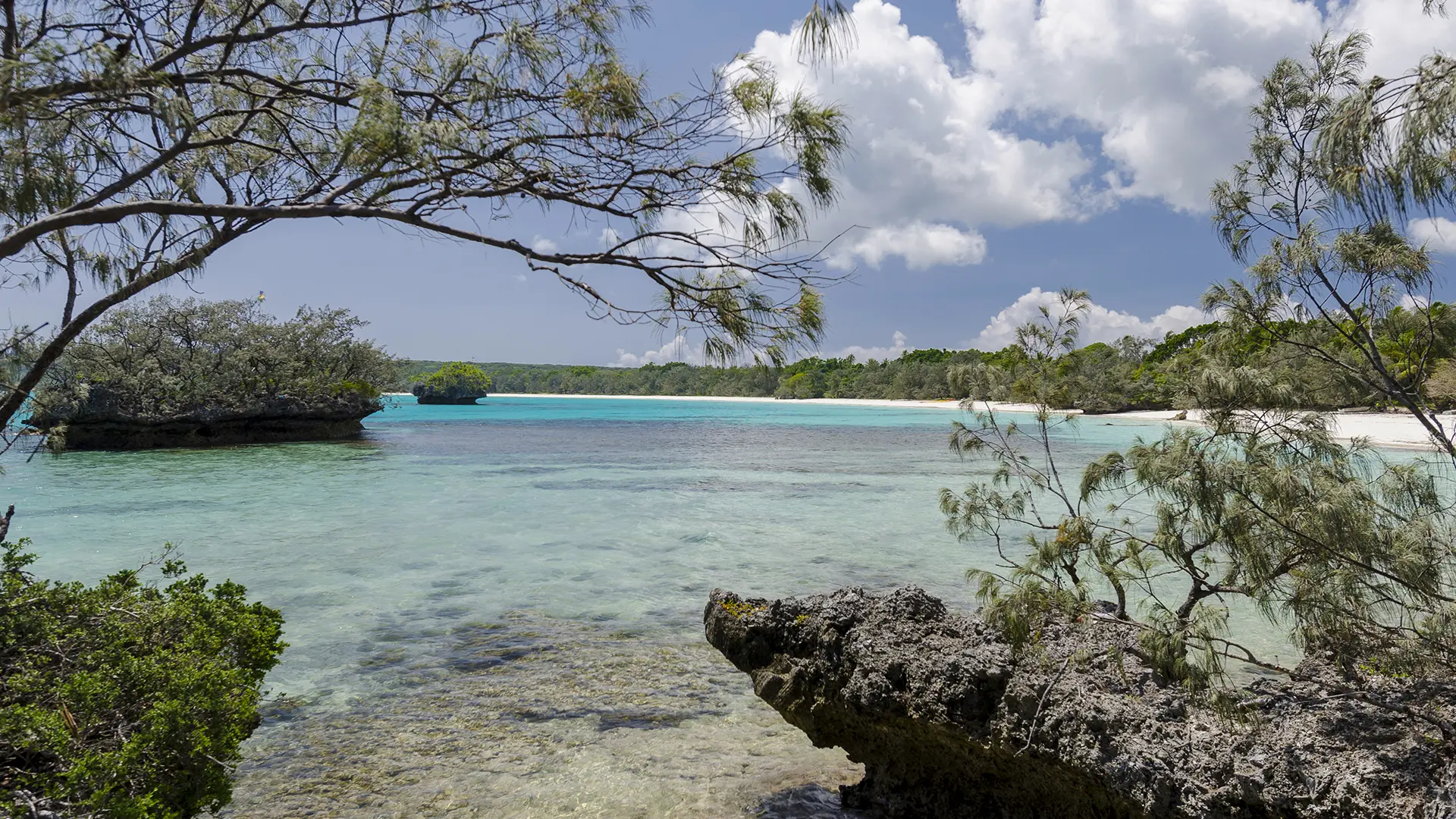 The beach seen from the rocks