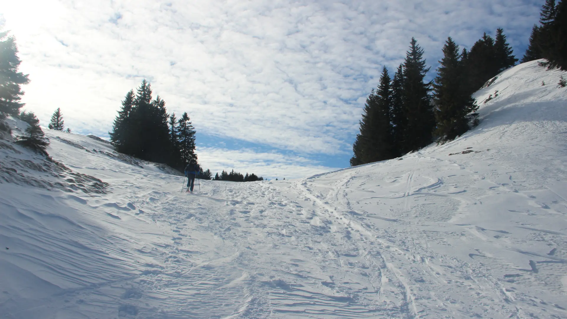 paysage enneigé